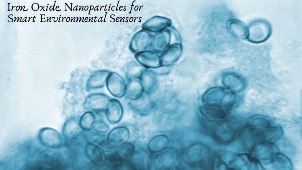 Iron Oxide Nanoparticles for Smart Environmental Sensors