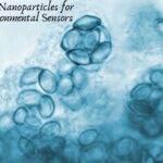 Iron Oxide Nanoparticles for Smart Environmental Sensors