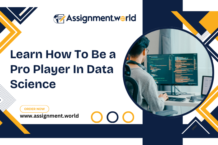 Learn How To Be a Pro Player In Data Science