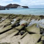 Yacht charter Galapagos