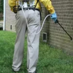 Comprehensive Pest Control Services by VenusPest