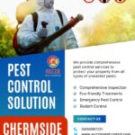 pest control service in Chermside
