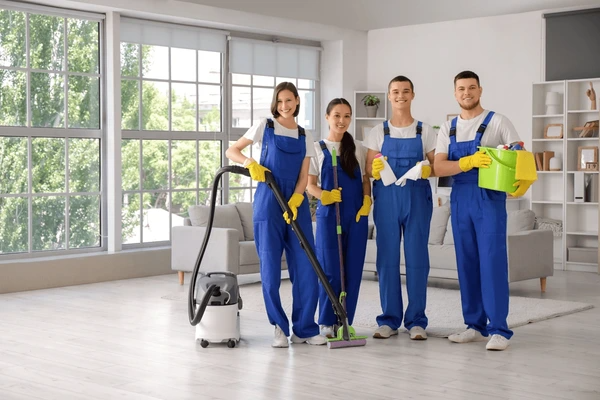 professional home cleaning services